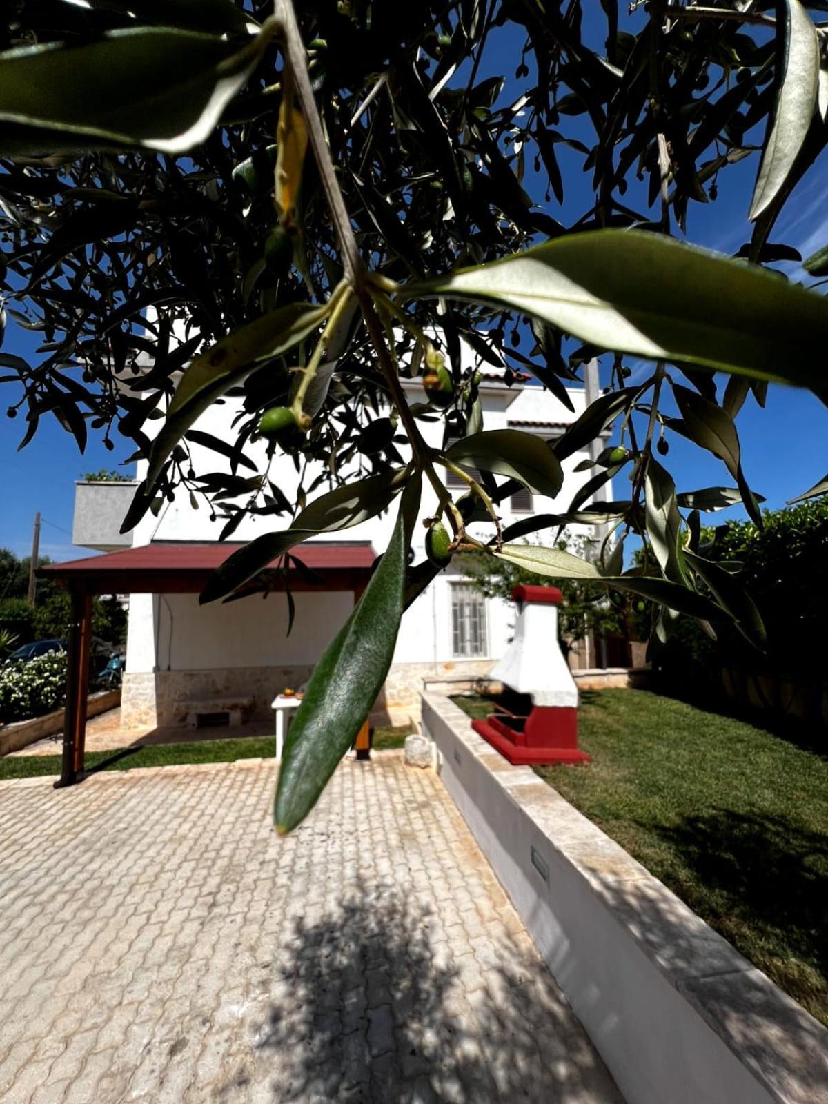 Вилла Casa Tesoro Чистернино Экстерьер фото